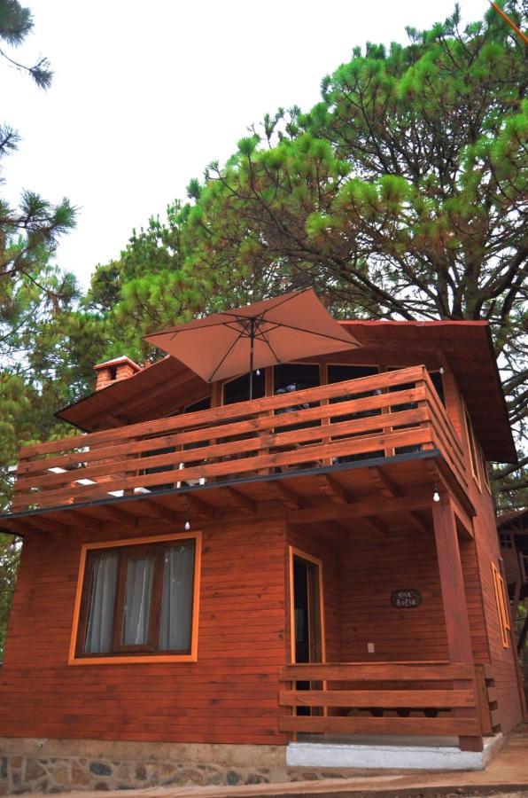 Villas Carolina Масамитла Екстериор снимка